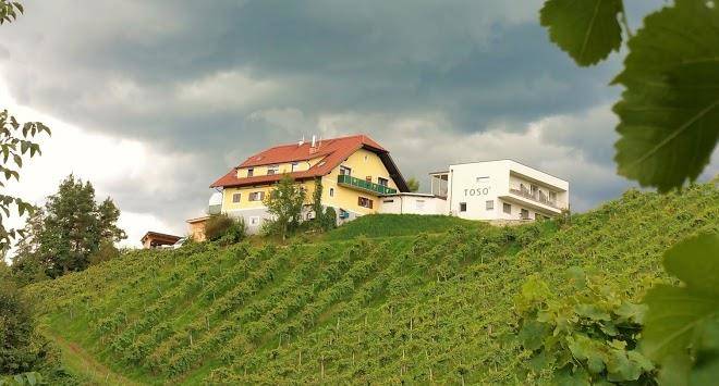 Weingut winzerzimmer toso