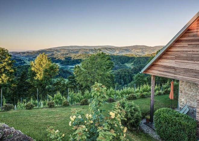 Winzarei weingut tement