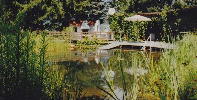 Hotel restaurant cafe schnuderl