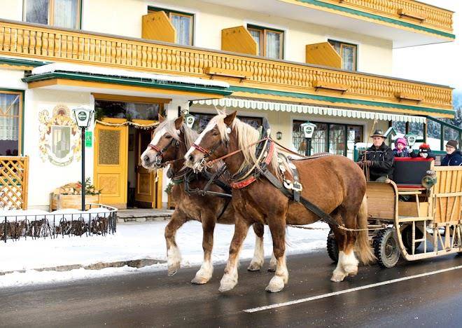 Landhotel hauserl im wald