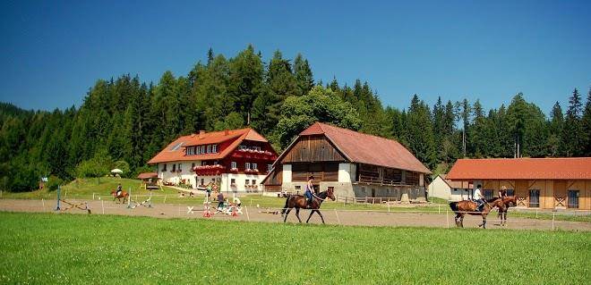 Steinerhof reiterbauernhof familie leitner