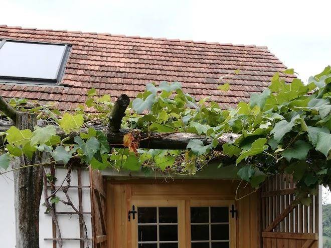 Ferienhaus 'am lampl berg'