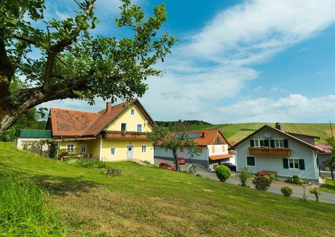 Weinbau fruhwirth