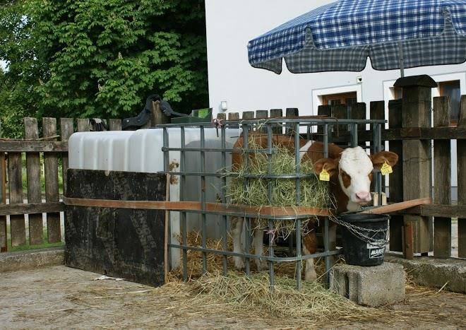 Urlaub am bauernhof