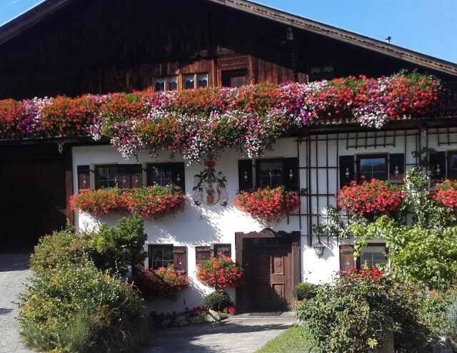 Ferienhof weindlerhof