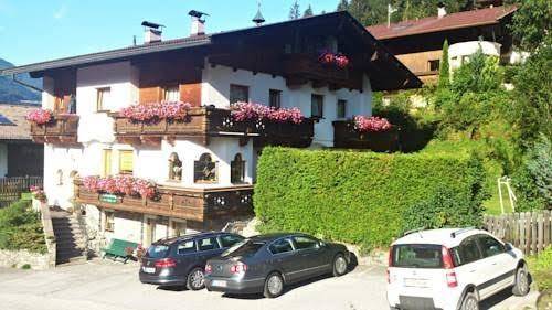 Gasteheim ribis