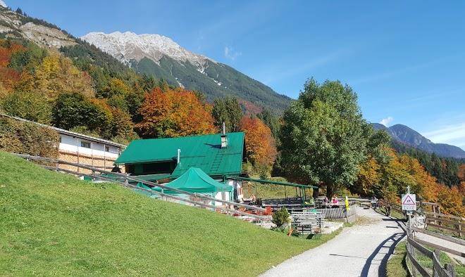 Arzler alm 1067m