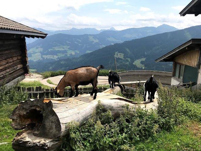 Berghaus tirol