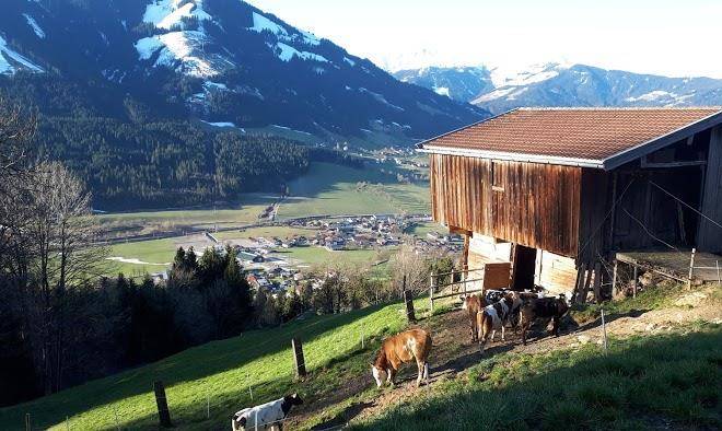 Bergpension ebental