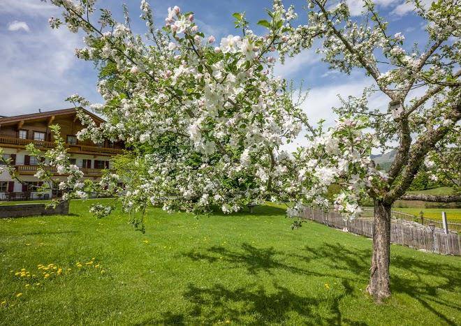Feriengut unterhochstatt