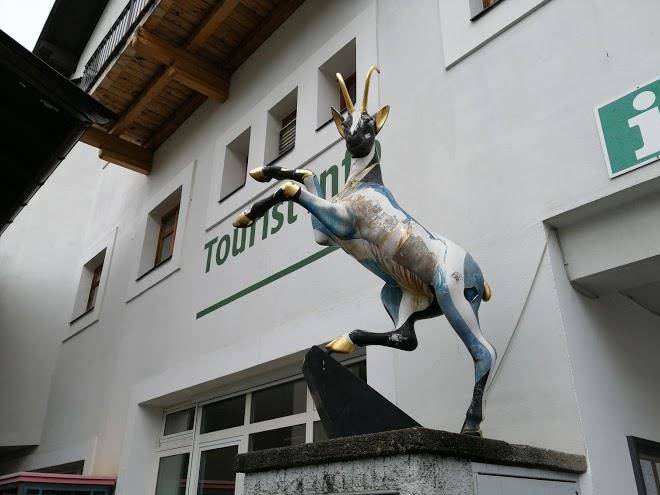Fruhstuckspension muhlbergerhof kitzbuhel