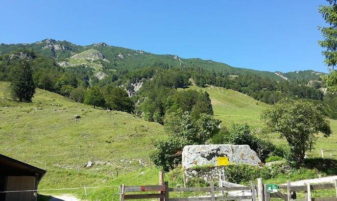 Griesneralm