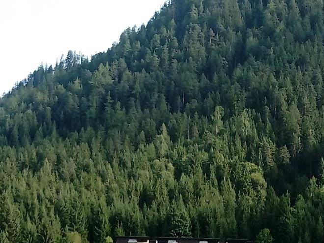 Hasenberghof
