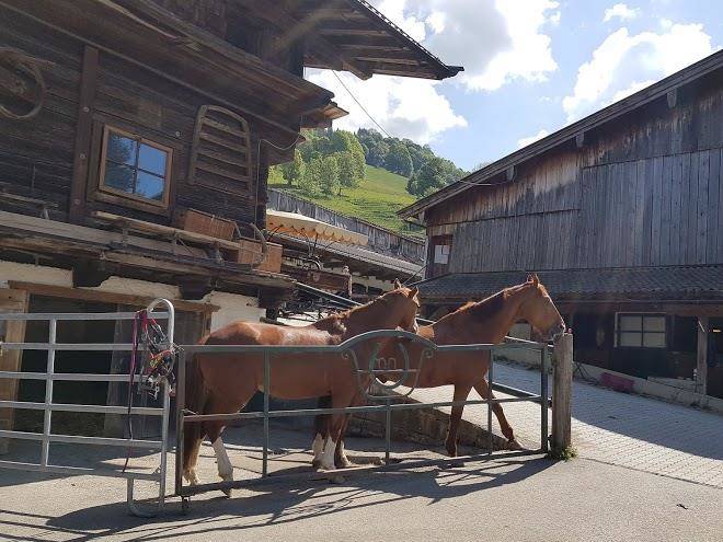 Henntalhof kitzbuhel