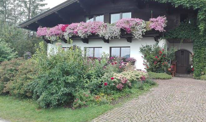 Bauernhof beinstingl