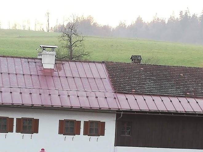 Gasthaus rappold