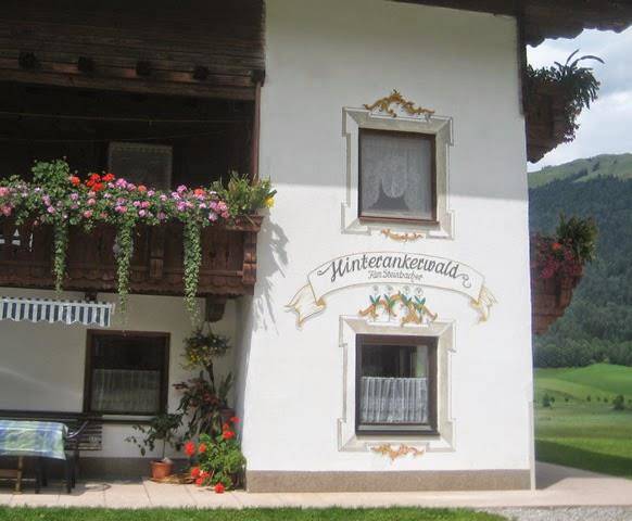 Hinterankerwald