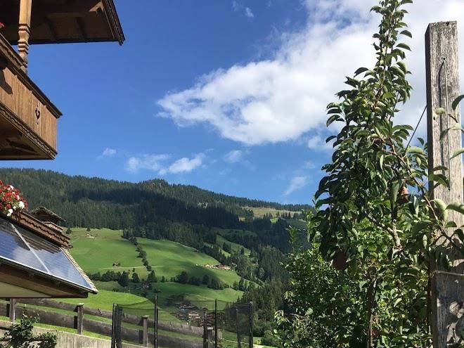 Leirerfeld