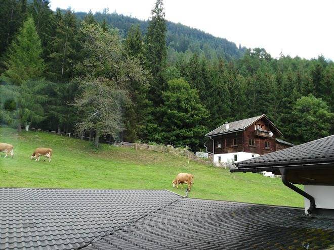 Ferienhaus feldwabl