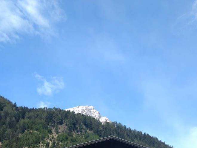 Herberg zirbe