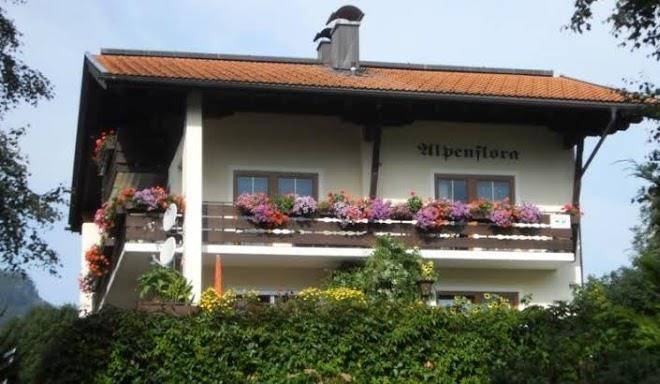Alpenflora