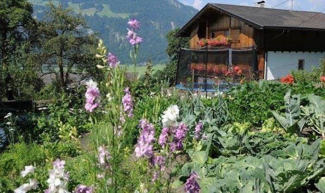 Erlacherhof