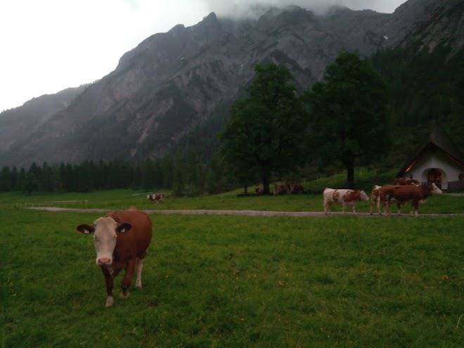 Fruhstuckspension achensee