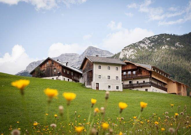 Mesnerhof c tirol
