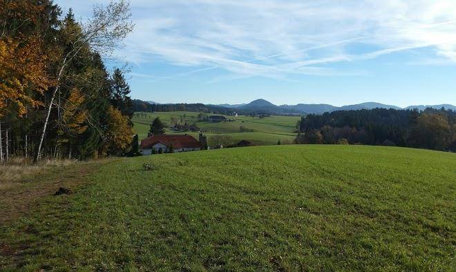 Ferienhof brandtner fam wenigwieser