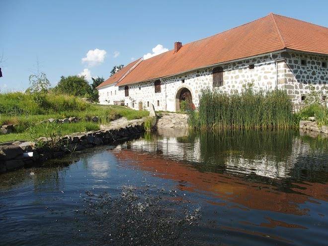 Lester hof