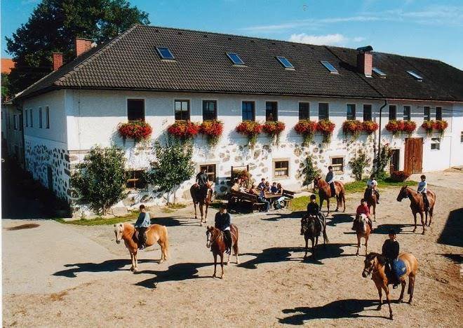 Reiterhof stoglehner