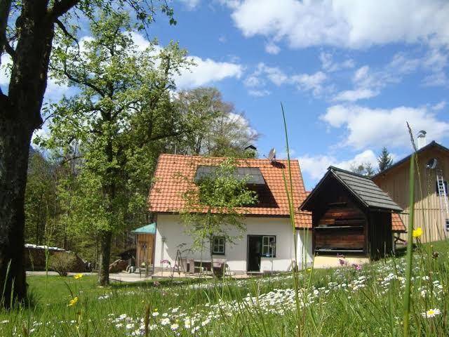 Ferienhaus waldbankerl