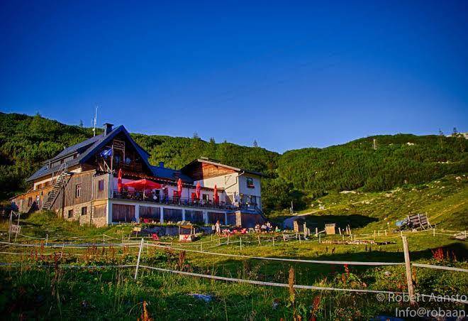 Gjaid alm