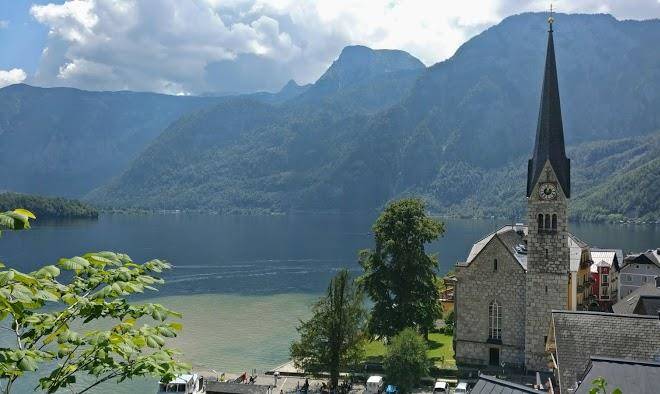 Metzgerwirt vieh heli