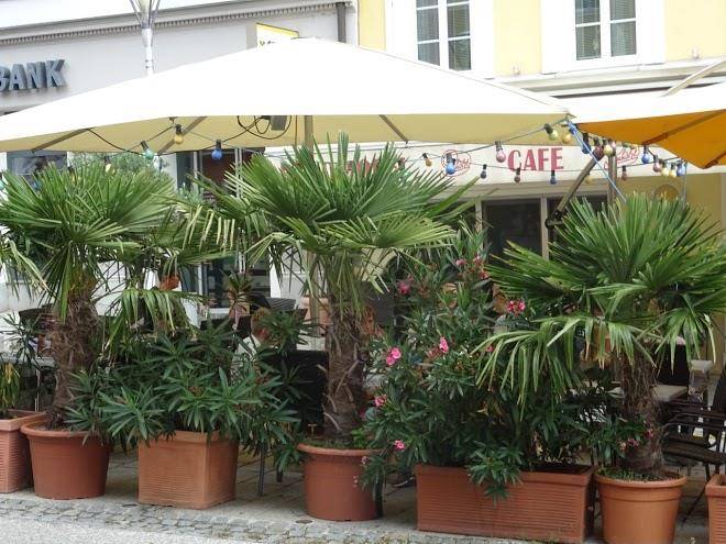 Gasthof steiner