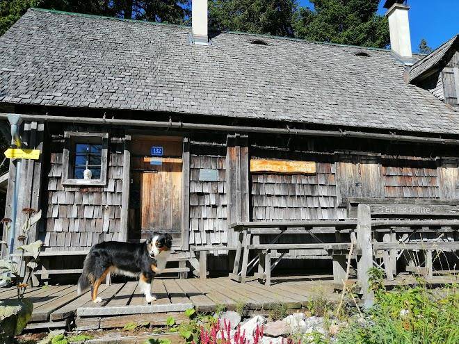 Feichtauhutte