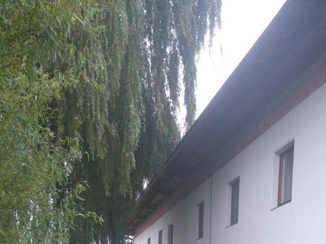 Ferienhof grunwald fam zwicklhuber schardax