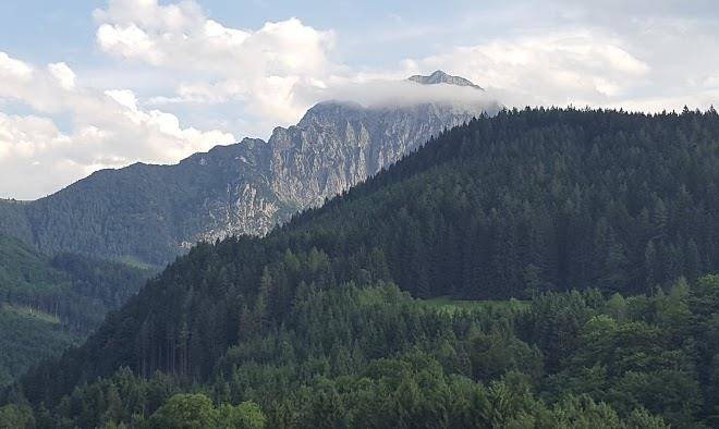 Seebacher & gorsch og