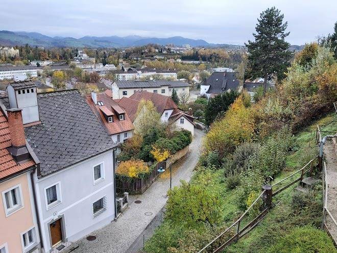 Restaurant donaublick