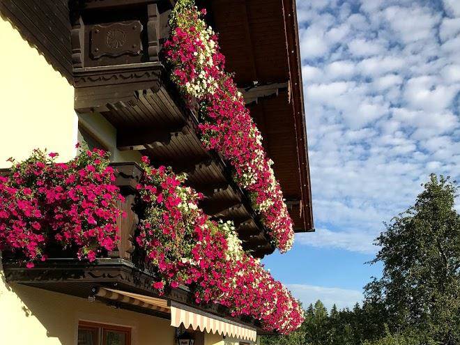 Der gasthof kulm