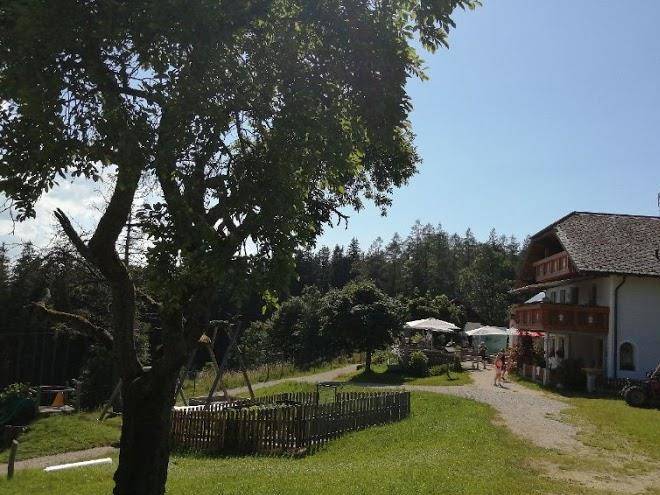 Gasthaus am hongar