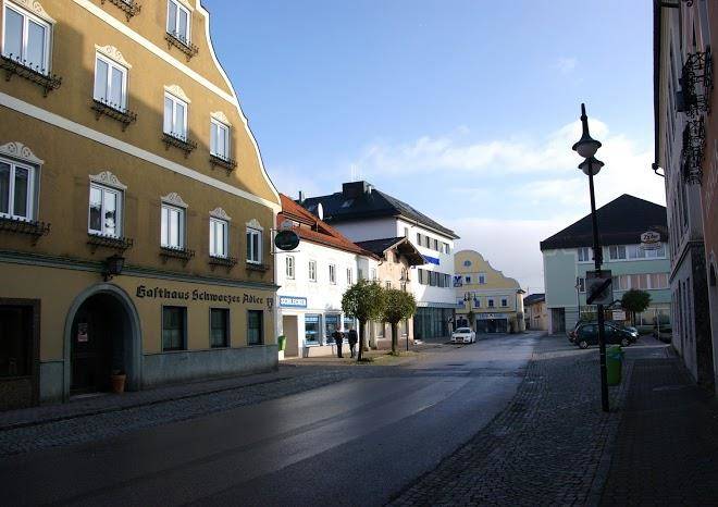 Schwarzer adler