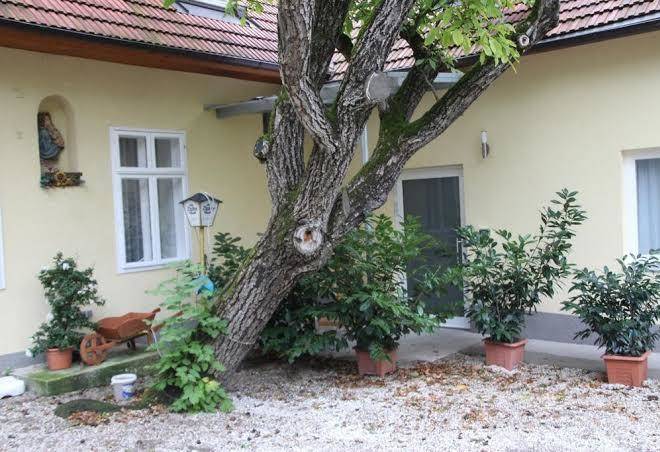 Gasthaus zum brandtner