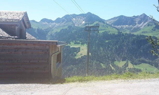 Ferienhaus burtscher