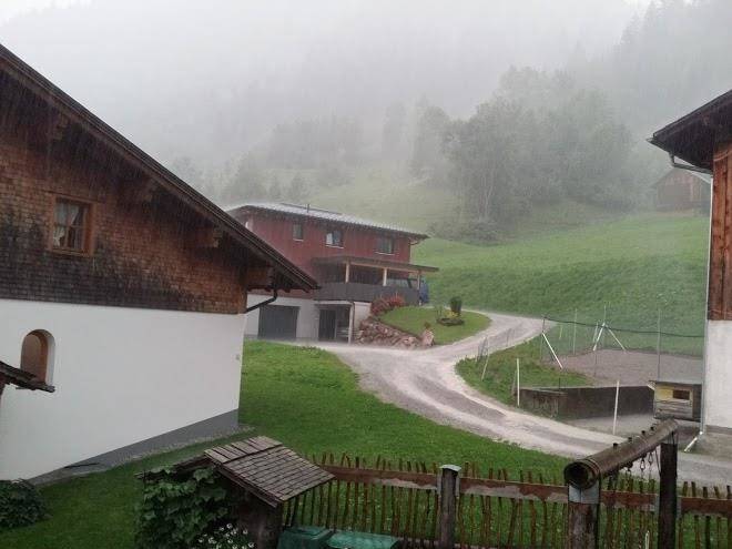 Haus tuklar