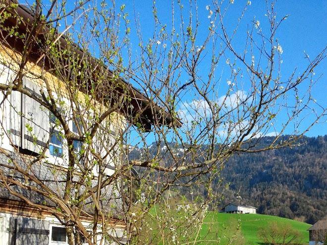Familienbauernhof koss