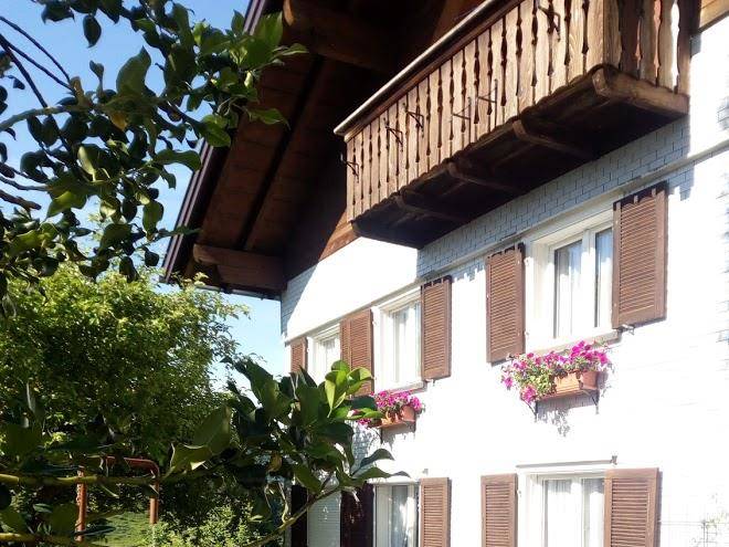 Ferienhaus lila
