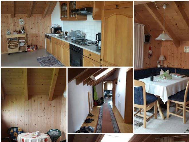 Haus vogel