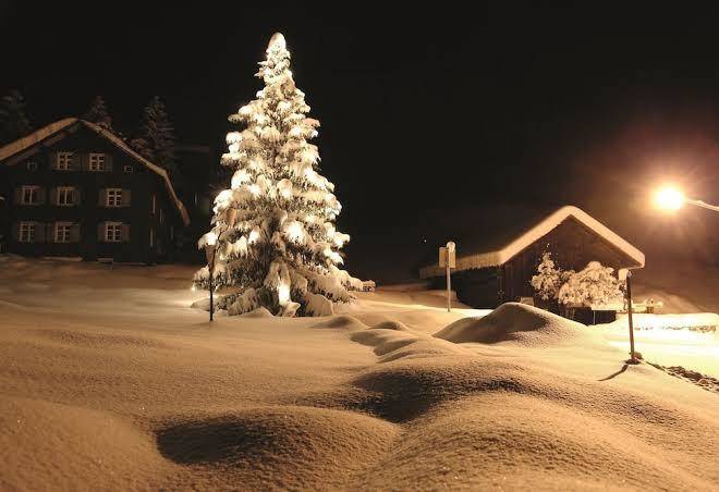 Panorama Hotel Sonnhalde Image