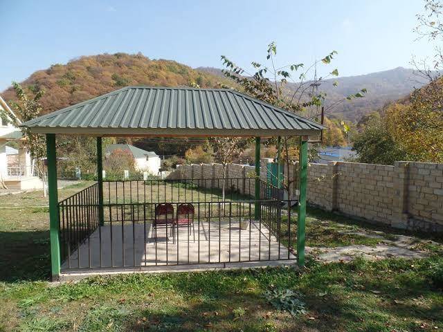 Lotos goygol